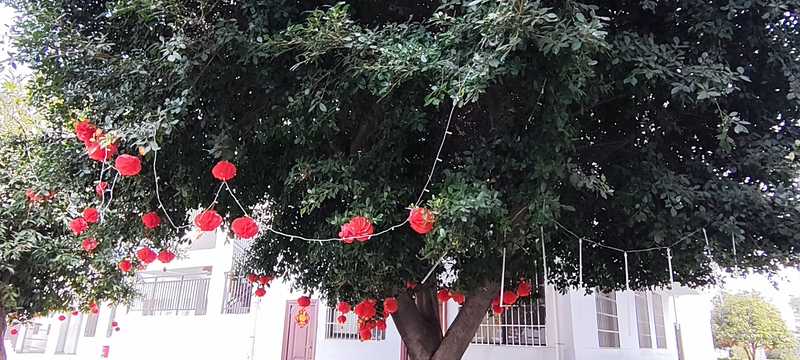 校園風(fēng)光