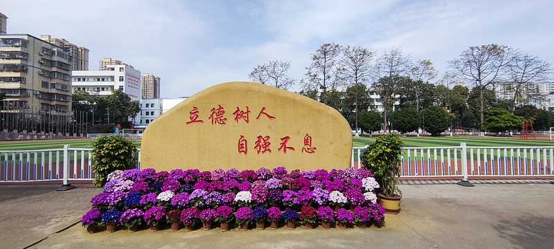 校園風(fēng)光
